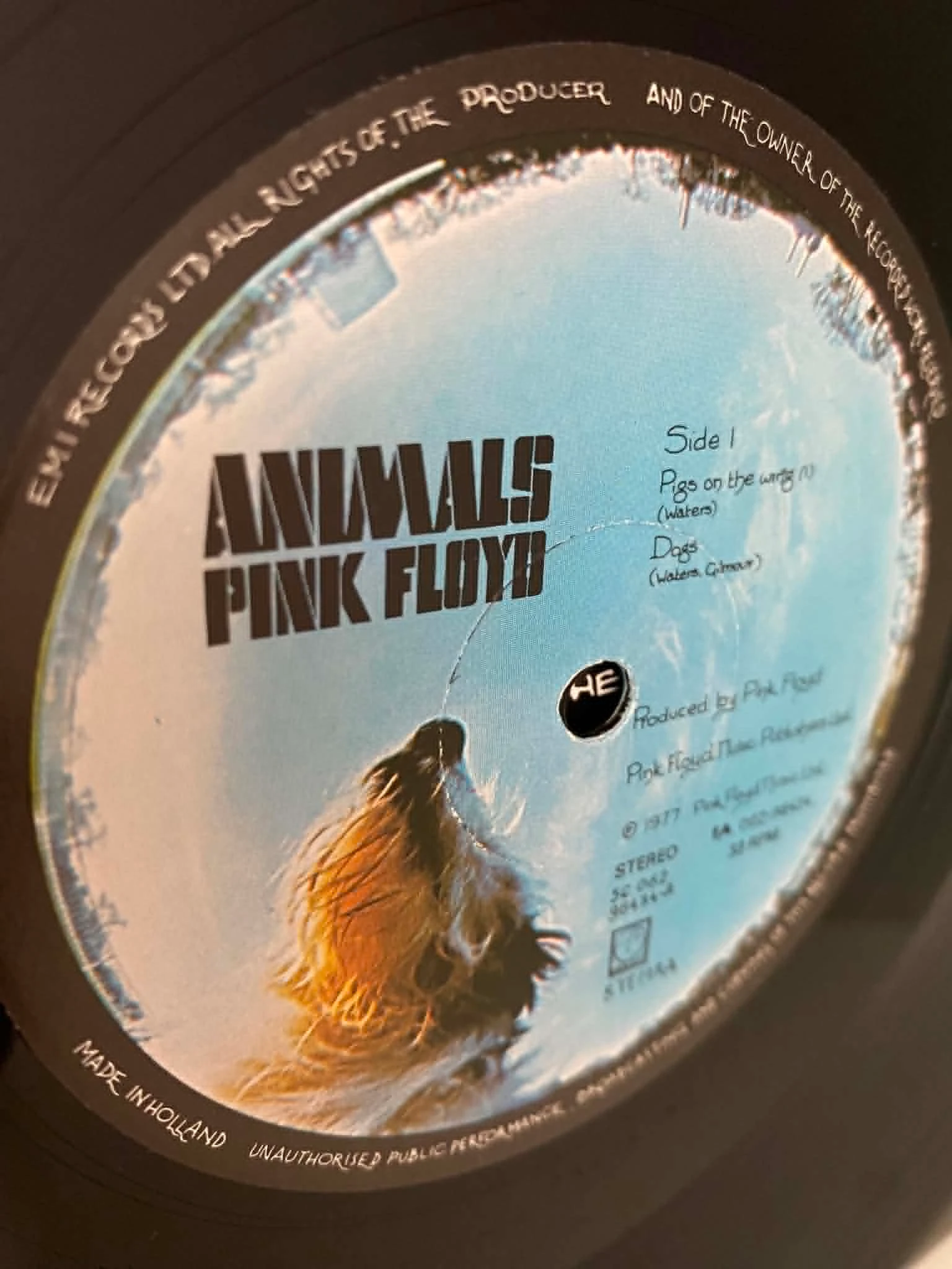 🔥 Pink Floyd – Animals - Nederland 1977 – photo 4
